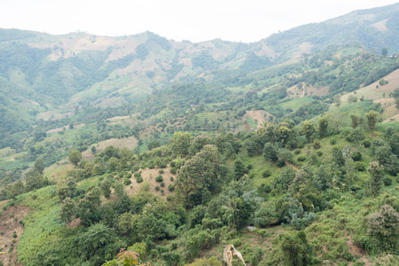 Aerial view. High mountain views and the verdant farmland of the countryside in  Sakat, Pua District, Nan, Thailandの写真素材
