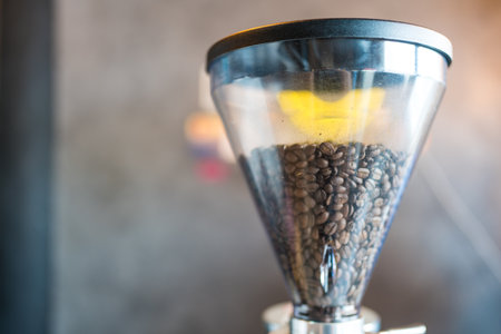 Fresh coffee beans in a coffee grinder for making coffee for customersの写真素材