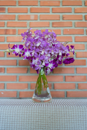 Glass vase with beautiful orchid flowers against brick wall.の写真素材