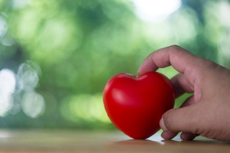 Hands keep a red heart,  symbolizing care, compassion, and a commitment to cardiac healthの写真素材