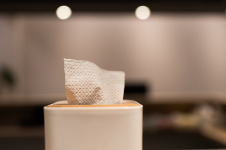 A photo of a tissue box ready for useの写真素材
