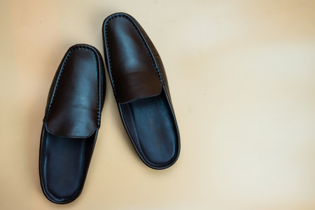 Explore stylish classic brown leather loafers for every occasionの写真素材