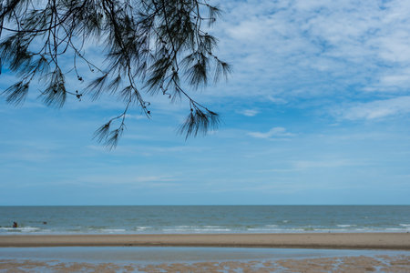 Landscape view the sky with view of sea pine tree in Thailandの写真素材