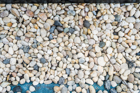 Round pebbles stones texture on garden ground for background.の写真素材