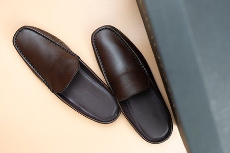 Top view of pair of brown leather loafersの写真素材