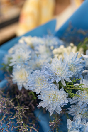 Close up blossom bouquet of blue chrysanthemum indicumの写真素材