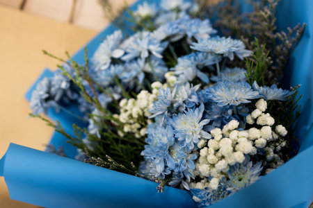Close up blossom bouquet of blue chrysanthemum indicumの写真素材