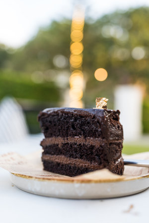 A delicious slice of chocolate cake, indulge in this rich chocolate cake slice