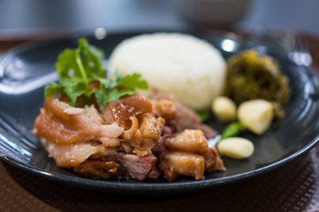 Stewed pork leg with rice. Selective focusの写真素材