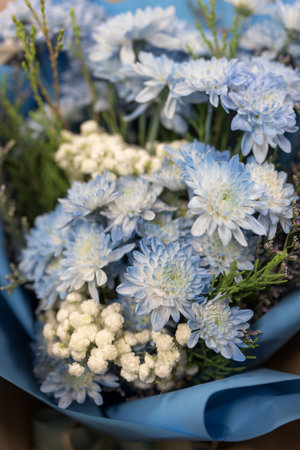 Close up blossom bouquet of blue chrysanthemumの写真素材