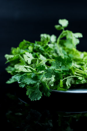 Fresh green coriander leaves on a black background.