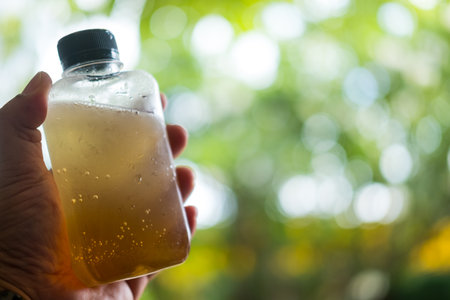 Refreshing lemon honey soda in take away plastic bottle against nature backgroundの写真素材