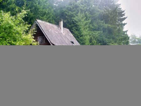Log cabin, in the morning at the forest in fogの写真素材