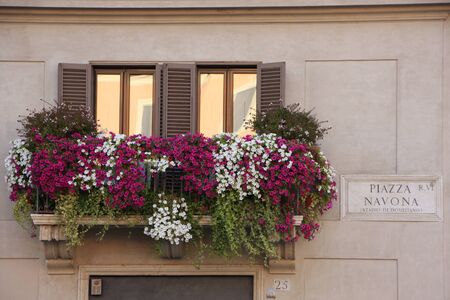 Flowers on a european windowの写真素材