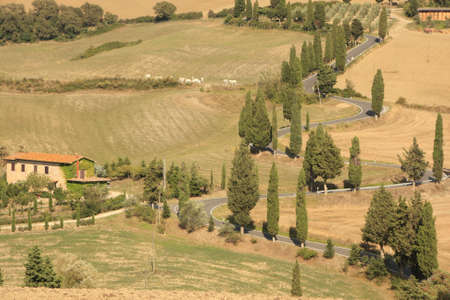 Rural road, Tuscany Italy with Cypress Treesの写真素材