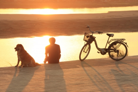 Person admiring sunset over river with dog and bicycleの写真素材