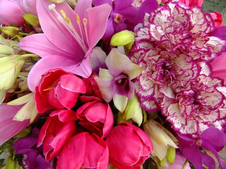 Close up of colorful flowersの写真素材