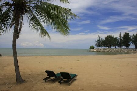 Sandy beach with sun chairs and palm treesの写真素材