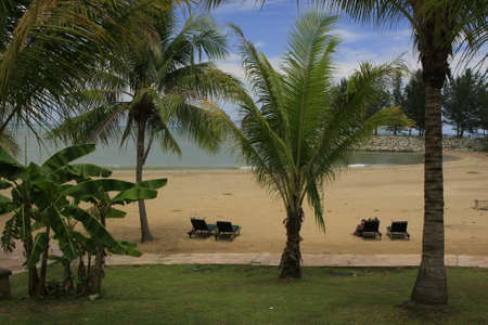 Sandy beach with sun chairs and palm treesの写真素材