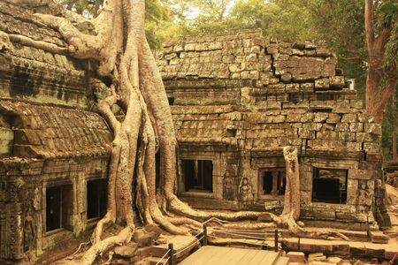 Ta Prohm temple, Angkor area, Siem Reap, Cambodiaの写真素材