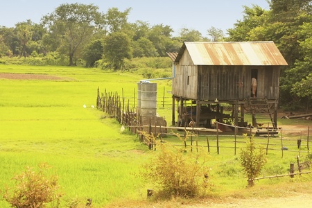 Stilt house near rice field, Cambodia, Southeast Asiaのeditorial素材