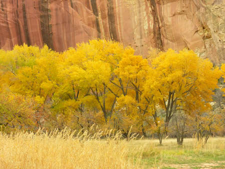 Capitol Reef National Park in a fall, Utah, USA