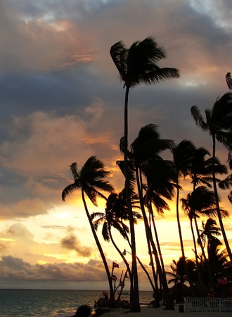 Silhouettes of palm trees on a tropical beach at sunriseの写真素材