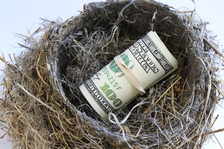 Dollar bills in a bird nestの写真素材