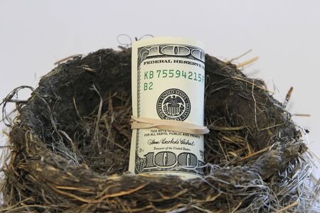 Dollar bills in a bird nestの写真素材