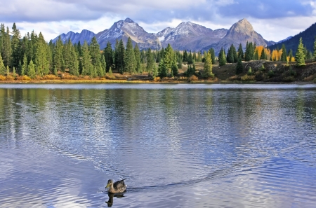 Molas lake and Needle mountains, Weminuche wilderness, Colorado, USAの写真素材