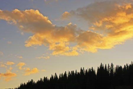 Rio Grande National Forest, Colorado, USAの写真素材
