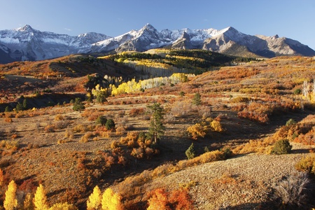 Dallas Divide, Uncompahgre National Forest, Colorado, USAの写真素材