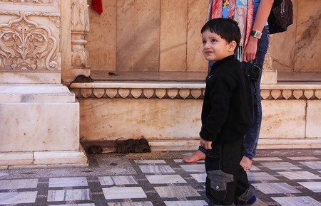 Young boy standing at Karni Mata Temple, Deshnok, Rajasthan, Indiaのeditorial素材