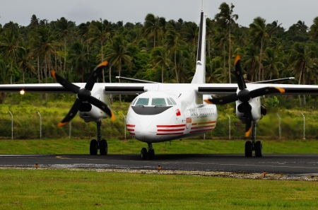 Real Tonga airplane arriving at Lupepau