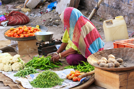 Indian woman selling vegetables, Sadar Market, Jodhpur, Rajasthan, Indiaのeditorial素材