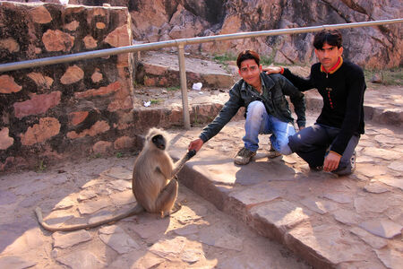 Young local men feeding gray langur at Ranthambore Fort, Rajasthan, Indiaのeditorial素材