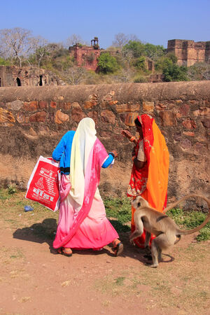 Local people walking around Ranthambore Fort amongst gray langurs, Rajasthan, Indiaのeditorial素材