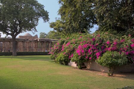 Qutub Minar complex grounds with flowers, Delhi, Indiaの写真素材
