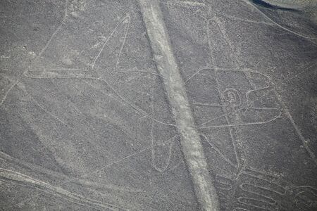 Aerial view of Nazca Lines -  Whale geoglyph, Peru. The Lines were designated as a UNESCO World Heritage Site in 1994.の写真素材