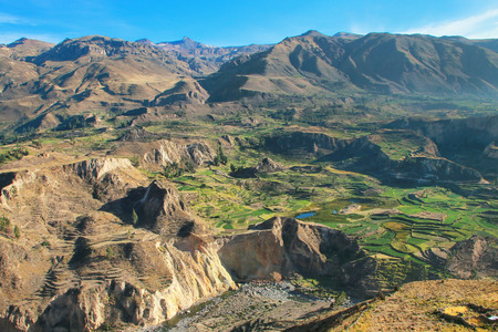 Stepped terraces in Colca Canyon in Peru. It is one of the deepest canyons in the world with a depth of 3,270 meters.の写真素材