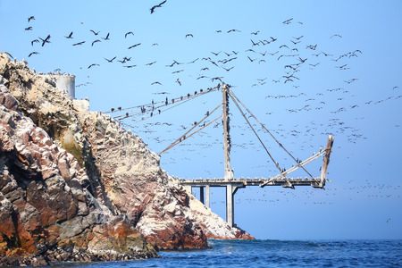 Old pier with birds in Ballestas Islands Reserve in Peru. Ballestas islands are an important sanctuary for marine faunaの写真素材
