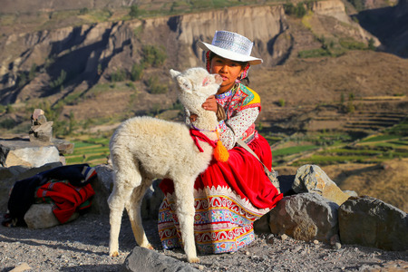 Local girl with baby llama sitting at Colca Canyon in Peru. It is one of the deepest canyons in the world with a depth of 3,270 meters.のeditorial素材