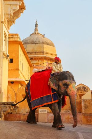 Decorated elephant going on the cobblestone path from Amber Fort near Jaipur, Rajasthan, India. Elephant rides are popular tourist attraction in Amber Fort.のeditorial素材