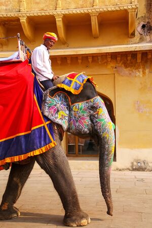 Mahout riding decorated elephant inside Jaleb Chowk (main courtyard) of Amber Fort, Rajasthan, India. Elephant rides are popular tourist attraction in Amber Fort.のeditorial素材