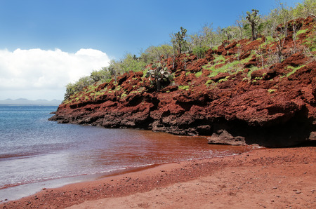 Red sand beach on Rabida Island in Galapagos National Park, Ecuadorの写真素材