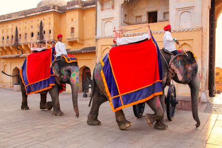 Decorated elephants walking in Jaleb Chowk (main courtyard) in Amber Fort, Rajasthan, India. Elephant rides are popular tourist attraction in Amber Fort.のeditorial素材