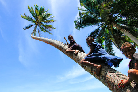 Local kids climbing palm tree to swing on a rope swing in Lavena village, Taveuni Island, Fiji. Taveuni is the third largest island in Fiji.のeditorial素材