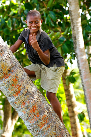 Local boy climbing palm tree in Lavena village, Taveuni Island, Fiji. Taveuni is the third largest island in Fiji.のeditorial素材