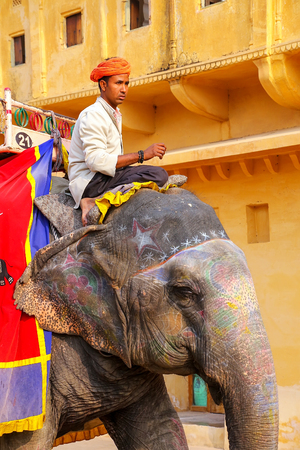 Mahout riding decorated elephant inside Jaleb Chowk (main courtyard) of Amber Fort, Rajasthan, India. Elephant rides are popular tourist attraction in Amber Fort.のeditorial素材
