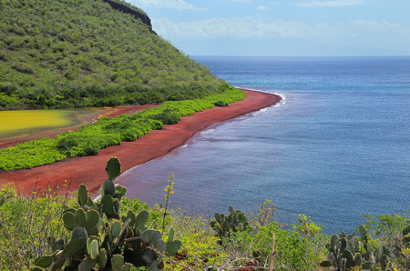 View of red beach and lagoon of Rabida Island, Galapagos National Park, Ecuadorの写真素材